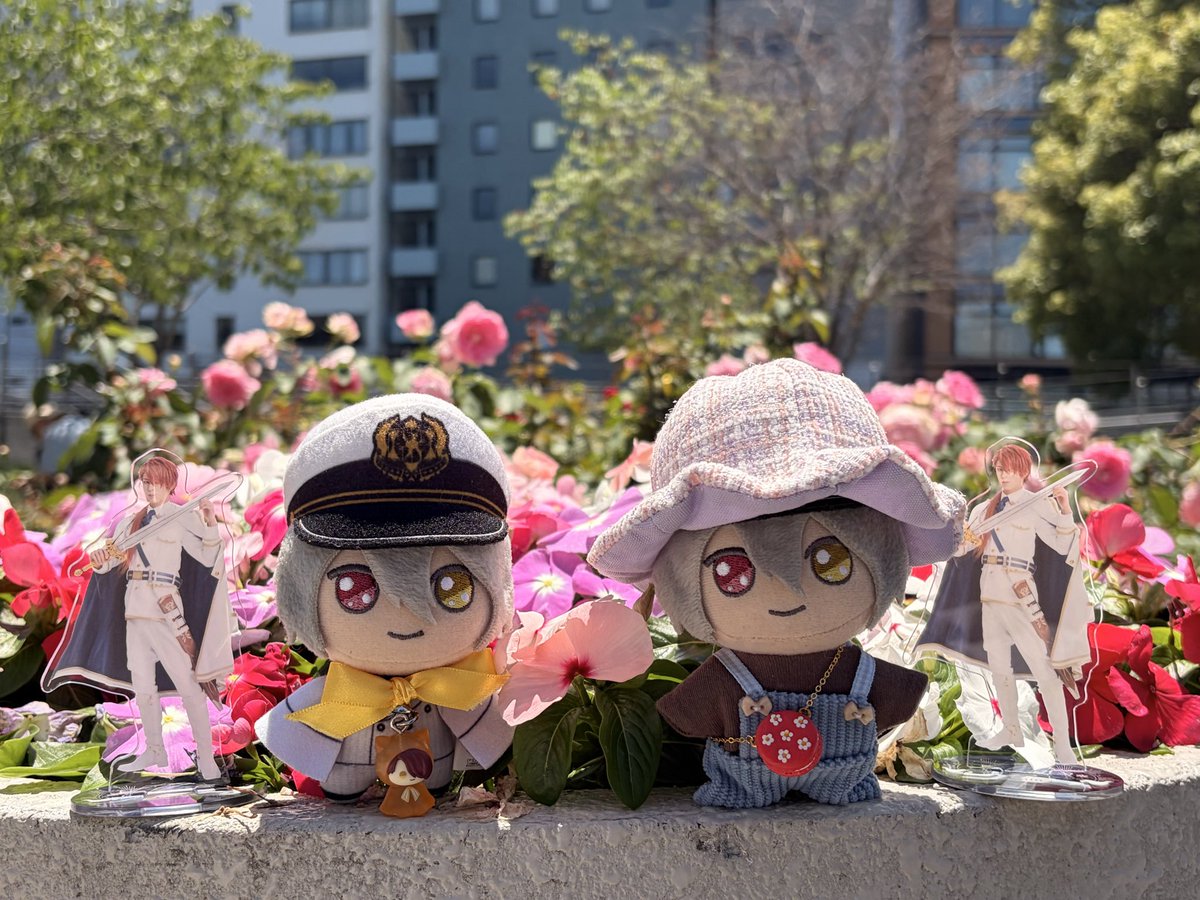 caoca_811's tweet photo. 犯罪的な可愛いさとおえぬたちの推し活 https://t.co/7HY7nYprdv