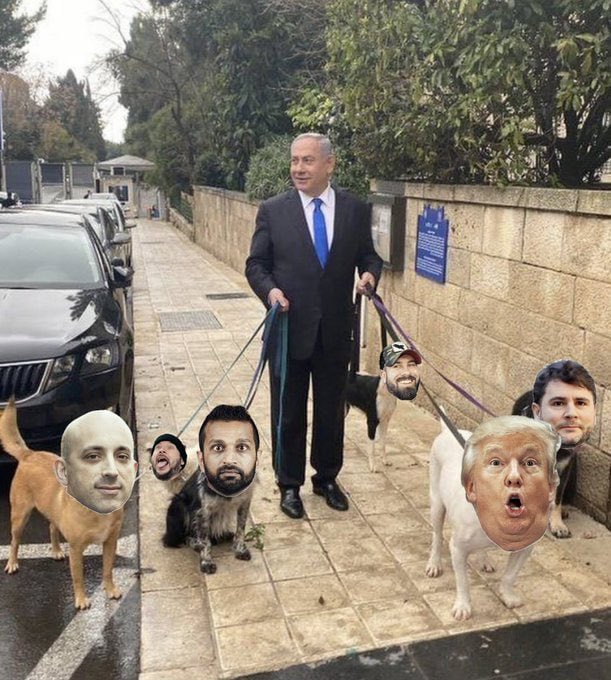 ALPacaUrfudge's tweet photo. #OtherUsesForTheWhiteHouseLawn A dog walking park. https://t.co/QiCRgrZqZv