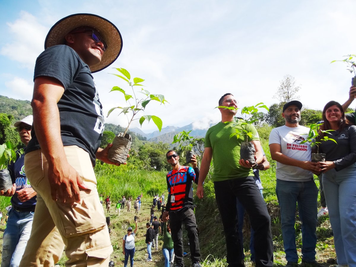 AFTperiodista's tweet photo. Plan Chuquisaca prevé siembra de 500.000 plantas y árboles en estado Mérida https://t.co/259cD7kJwK
@avnve #Mérida #30mayo #29mayo https://t.co/iGIVUgKVlX