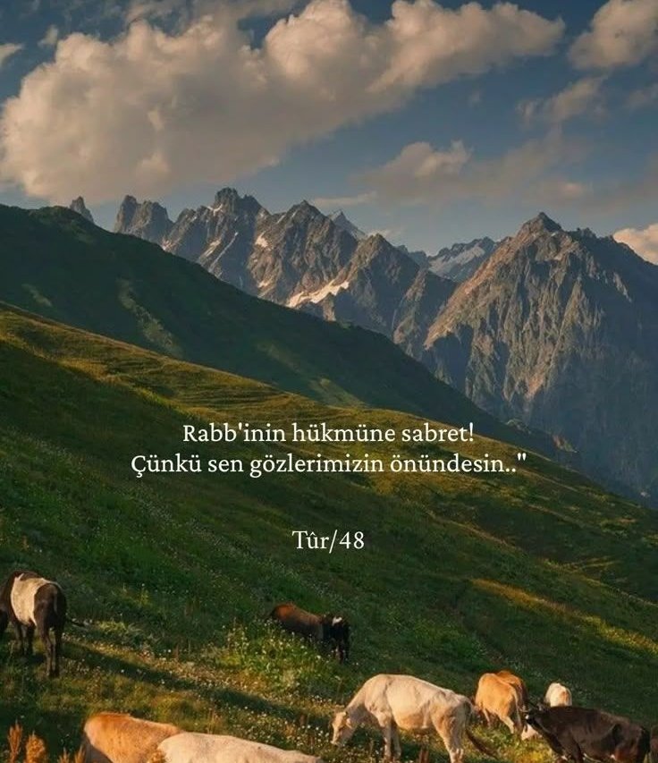 digerkm's tweet photo. Rabb'inin hükmüne sabret! https://t.co/1OucCmXhAH