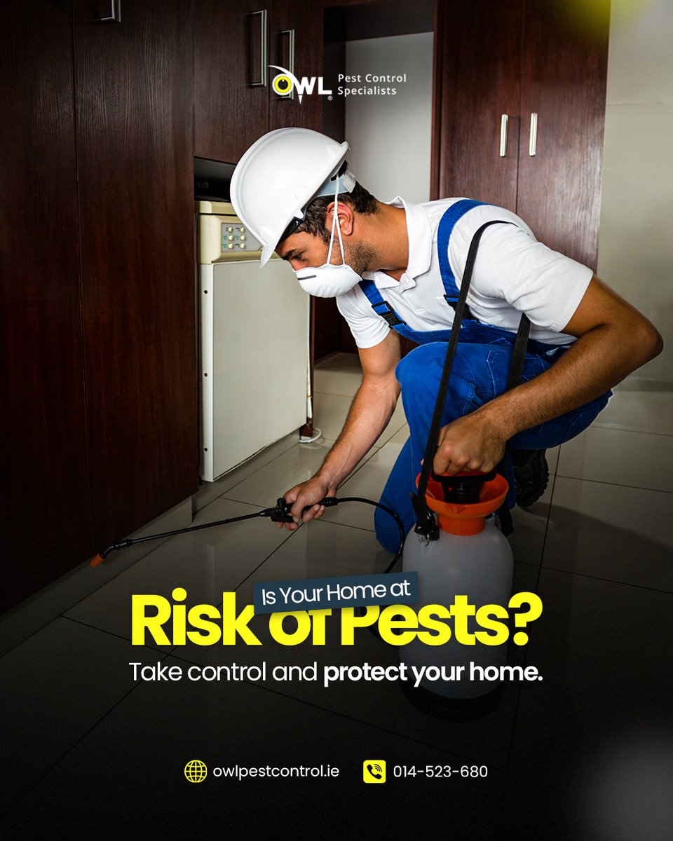 Owl Pest Control Dublin tweet media