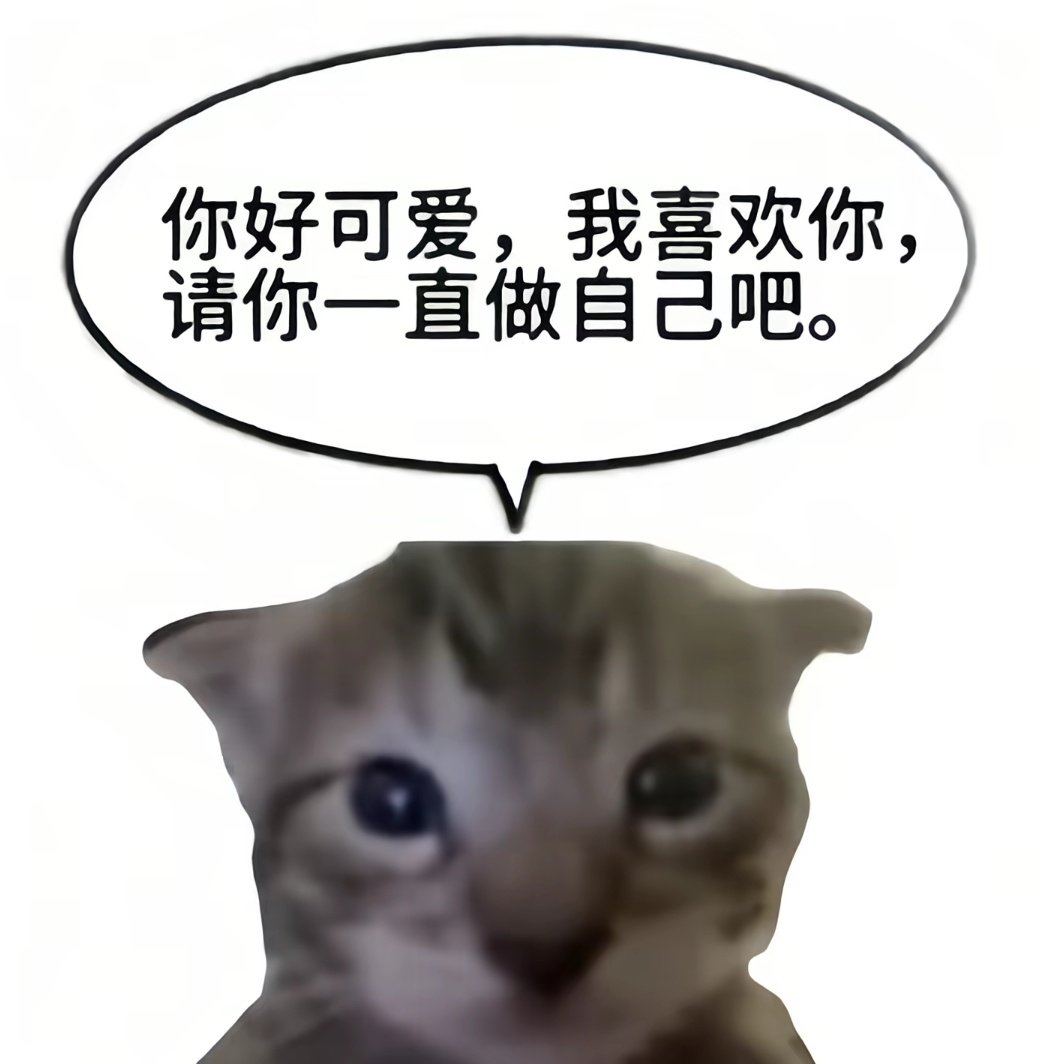 昕雪 tweet media