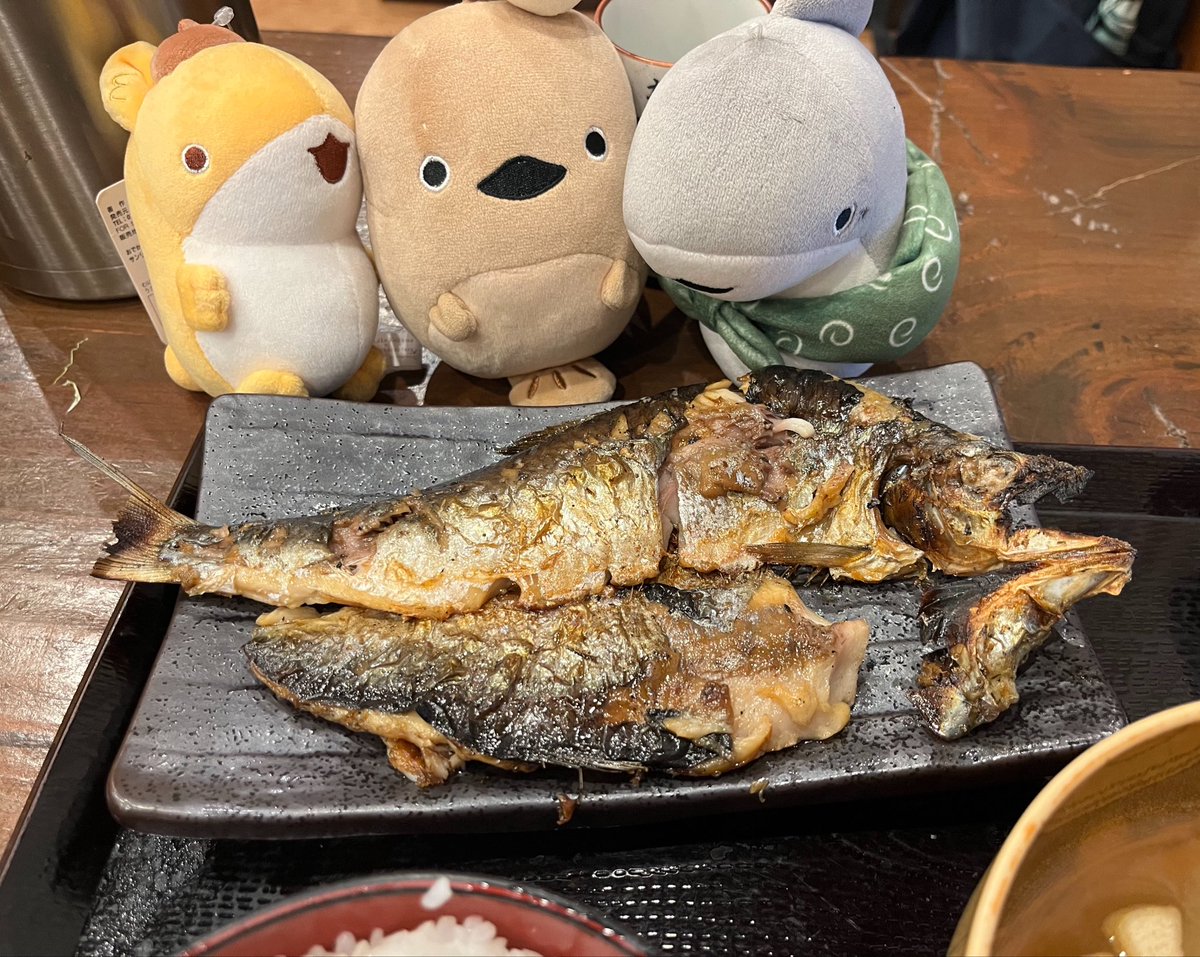 TecchanRed's tweet photo. 私事ですが、今週は深夜残業の連続でしたので、本日は泥のように眠ってしまいました。
本日の夜食はしんぱち食堂さんにてトロニシン定食(ご飯大盛)＋ご飯＋３羽いわし定食、とても美味しかったです✨
#てっちゃんのもぐもぐタイム https://t.co/gtKSjTJbrv
