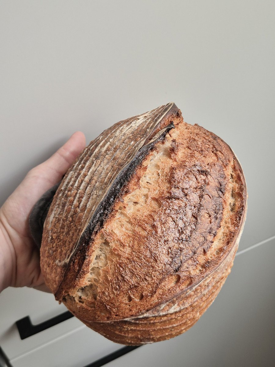 basedgrunch's tweet photo. proud of this 1/3 rye loaf! https://t.co/cAZoVkOSXT