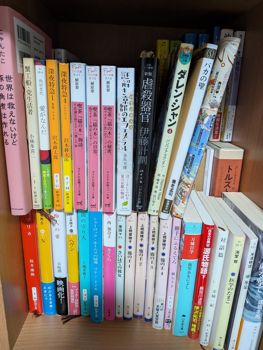 文園そら tweet media