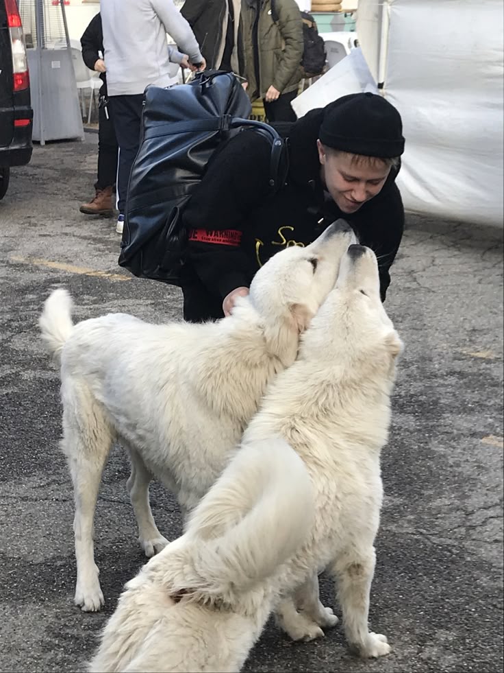 mjstacyparker's tweet photo. topico muito sensível para mim conor com gatinhos e cachorrinhos https://t.co/M0X8I6Rsr1