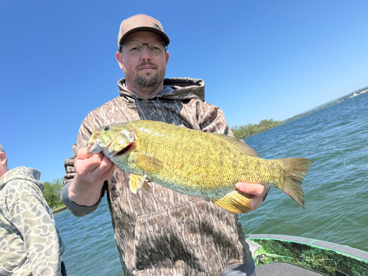 Bassonline's tweet photo. 🔥 Capt Mark Rose + 50 smallmouth = unreal day 🎣
Big 5-pounder.
Tons of 3s &amp; 4s.
Smiles all around 🏆

Bass fishing action is HOT right now.
📞 954-771-5833
🌐 https://t.co/C6SWHjsJsk

#BassFishing #fishingUSA https://t.co/sRMItBVmas