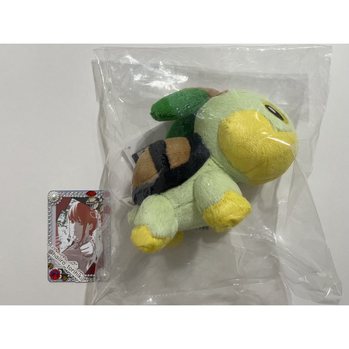 haiiro_torihiki's tweet photo. @nnn

ー 交換 / 譲渡 / 買取 ー

一番くじ Pokémon 30th ANNIVERSARY vol.1 ポケモン くじ ポケパーク ピンバッジ ガチャ メタルチャーム ブリスターマスコット

譲 ▶︎ 画像参考

求 ▶︎ 同異種キモリ.メタモン or 〜定価＋送料

※各ALT参考
※固ツイ関連と異種交換も検討可能🙇‍♂️ https://t.co/MPEEyuX5BI