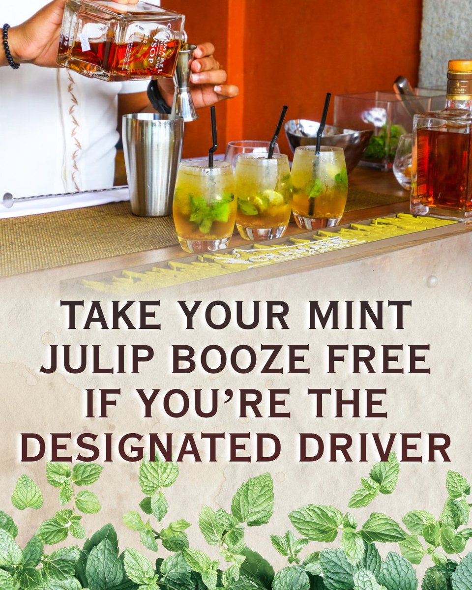 NewJerseyDOT's tweet photo. Plan on partaking in #MintJulipDay? Assign a #DesignatedDriver who takes their drink bourbon-free! https://t.co/Nc4WbcYYfV