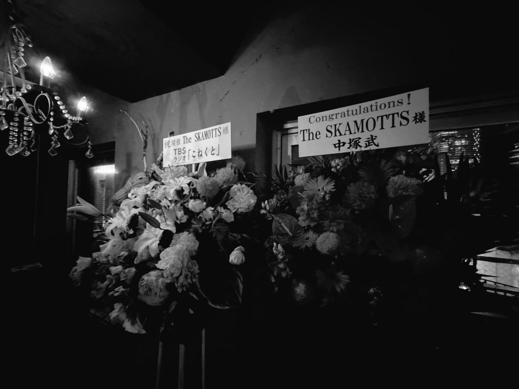 TheSkamotts's tweet photo. SKA WAVE RADIO!!!thx!!!
#SKAMOTTS https://t.co/KuIuqpcr0p