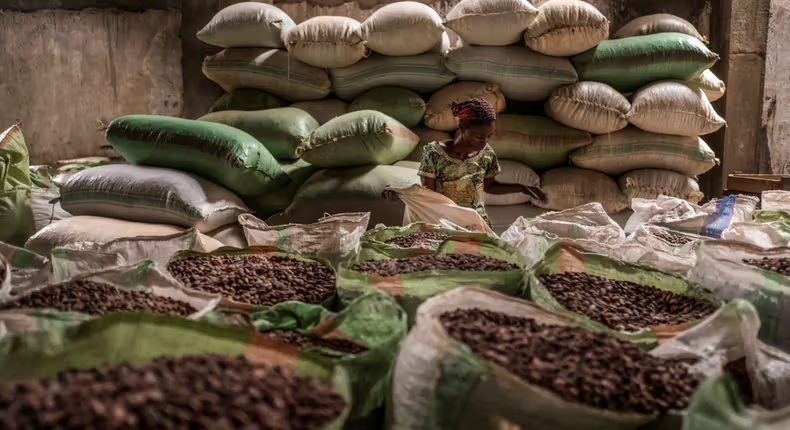 BusInsiderSSA's tweet photo. Why China’s🇨🇳 latest coffee move could reshape African agricultural exports

China🇨🇳 will allow qualified coffee bean imports from 53 African countries beginning July 20, 2026.

The policy introduces a single continent-wide framework, replacing country-by-country approval processes.

African coffee exporters could benefit from easier access to China's🇨🇳 fast-growing consumer market.

The move is expected to deepen China🇨🇳–Africa trade ties and expand opportunities for one of Africa's most valuable agricultural exports.