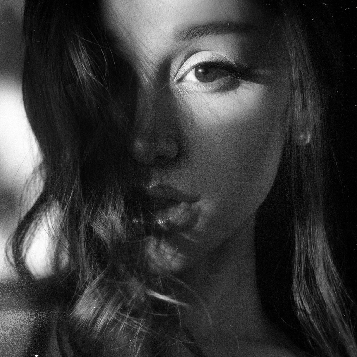 Ariana Daily Data tweet media