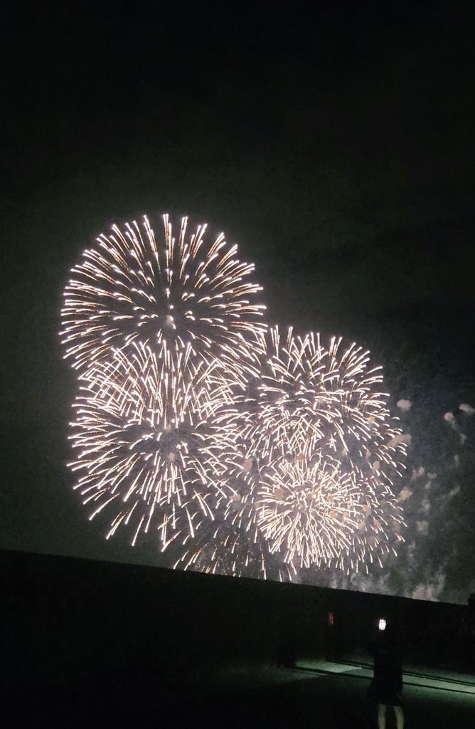 Cookie0399's tweet photo. 花火見てきた！ https://t.co/7jDolYTLD0