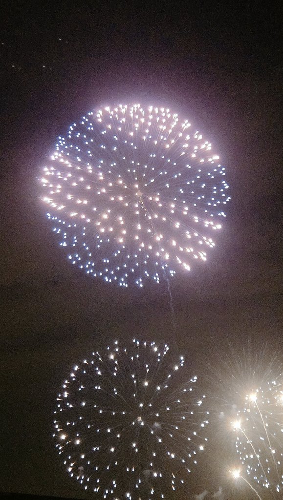 Cookie0399's tweet photo. 花火見てきた！ https://t.co/7jDolYTLD0