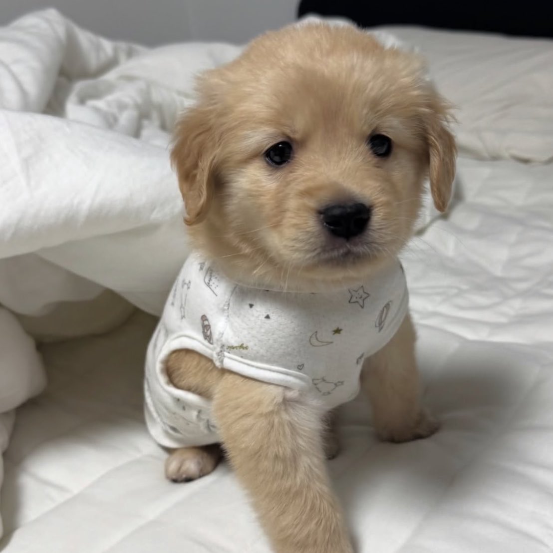 takemybear 🐶 tweet media