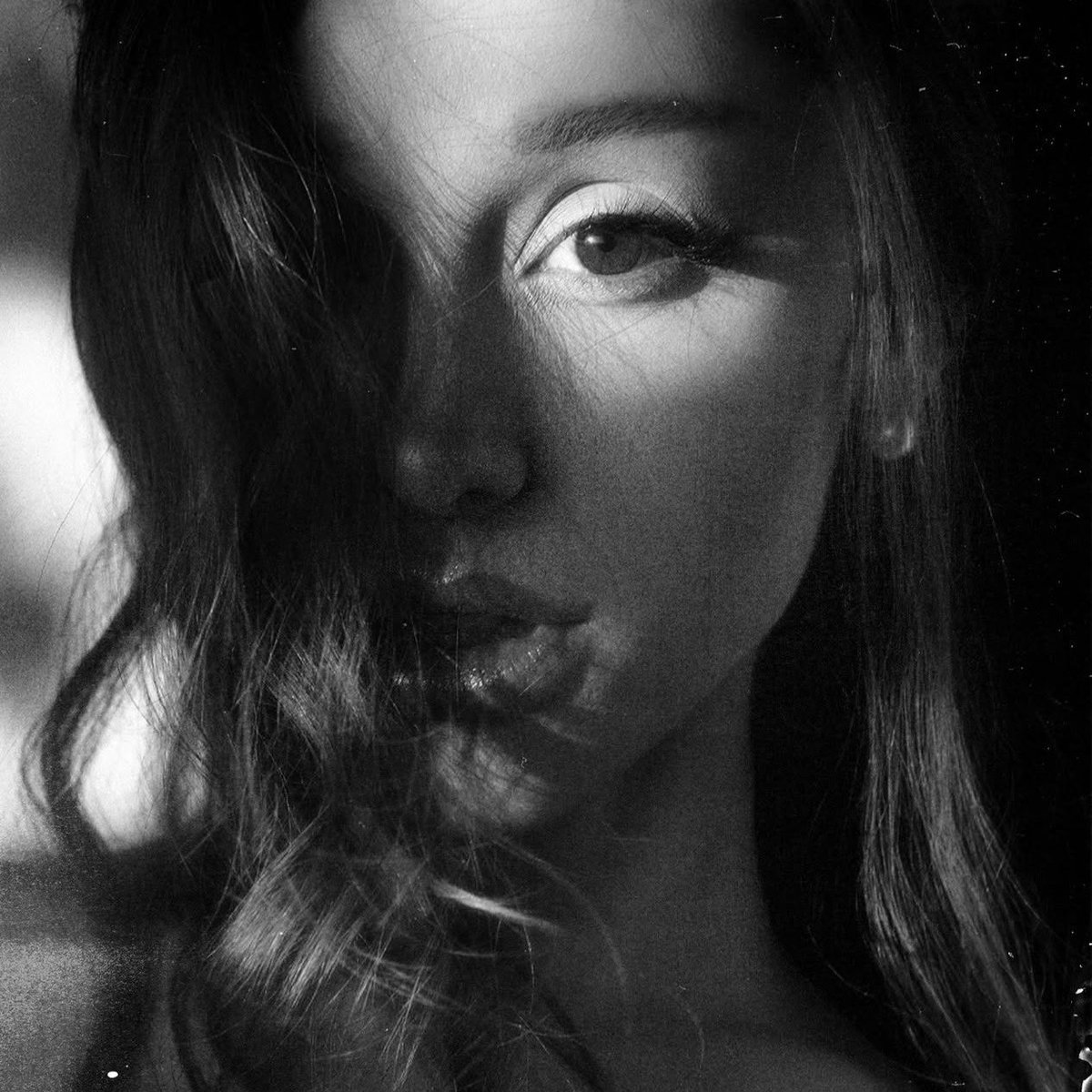 Ariana Daily Data tweet media