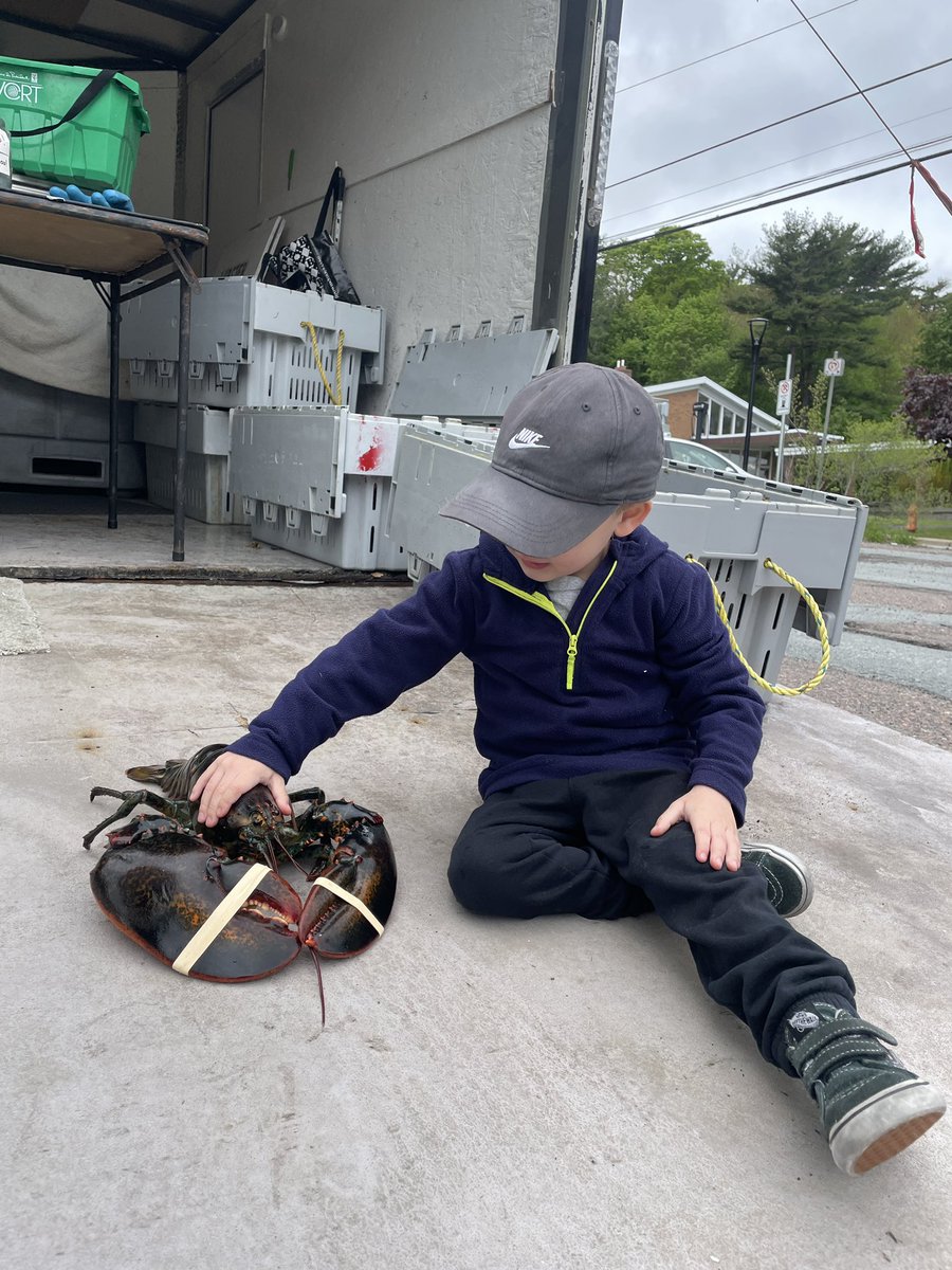 AMasse27's tweet photo. This boy loves Nova Scotia https://t.co/5Ad1TpNIPl