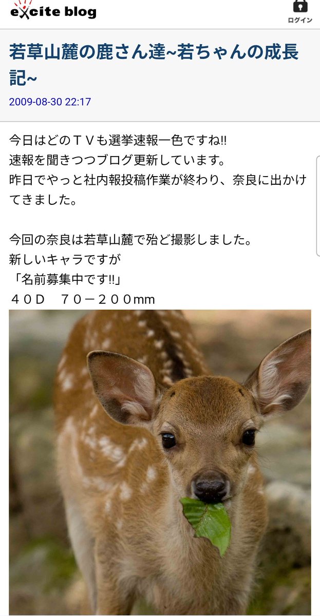野良しかまろ tweet media