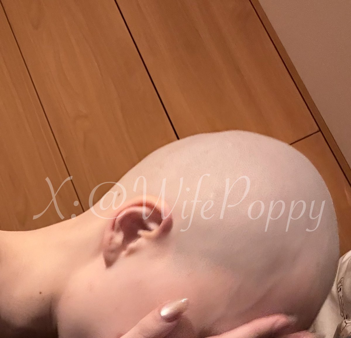 Poppy's妻奴记事簿 tweet media