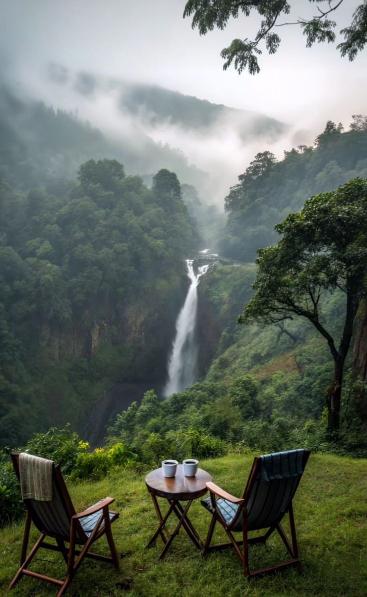 aestheticspost_'s tweet photo. Peaceful. https://t.co/FeuMeanfH2