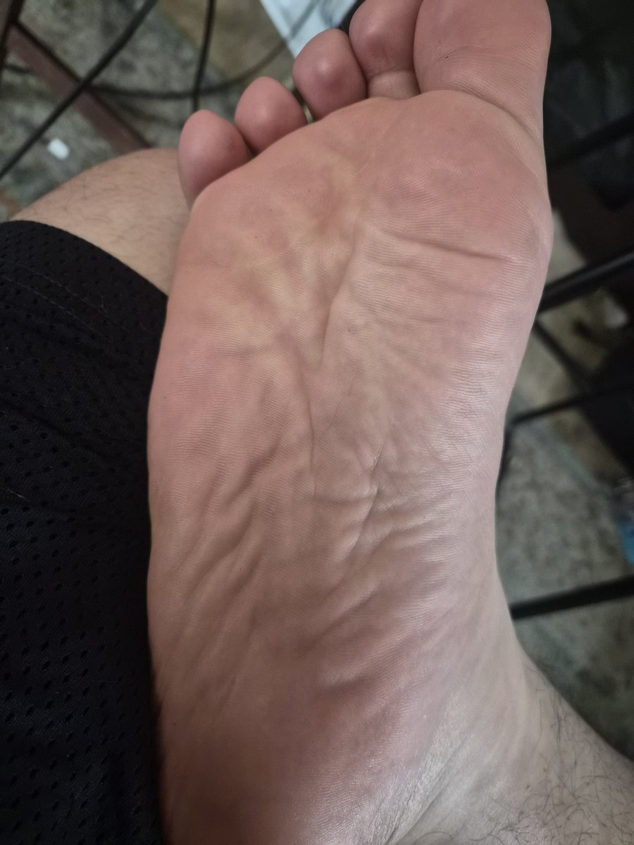 steelpanzer's tweet photo. Nu caption just appreciating paw :3 https://t.co/2MXpX1igpv