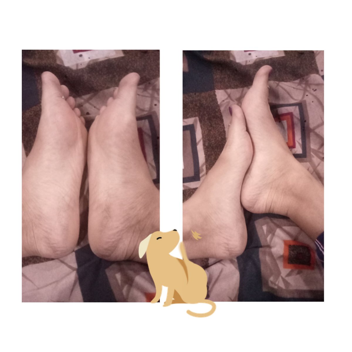 DevlinaGoddess's tweet photo. Hey my slave dogs 🐶🧎here you can see my beautiful soles 👣 DM me for an online session to serve these soles.👣🐶 @FootParadiseRT @rtfindom @rtfemdom1 @ffw_slave @TonyBobo33 https://t.co/zeqzl1Hv9Y