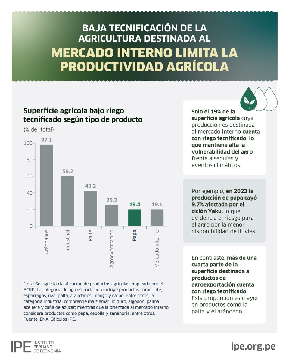 IPEopinion's tweet photo. 🥔 La papa representa el 7% del PBI agropecuario nacional. Pero su agricultura sigue siendo vulnerable.

En el Día Nacional de la Papa, ponemos en perspectiva lo que hay detrás del cultivo. Solo el 19% de su superficie tiene riego tecnificado, creando alta vulnerabilidad frente a eventos climáticos, como el ciclón Yaku.

Mejorar la tecnificación del agro es una tarea pendiente.👇 Para más detalles, revisa nuestra infografía.