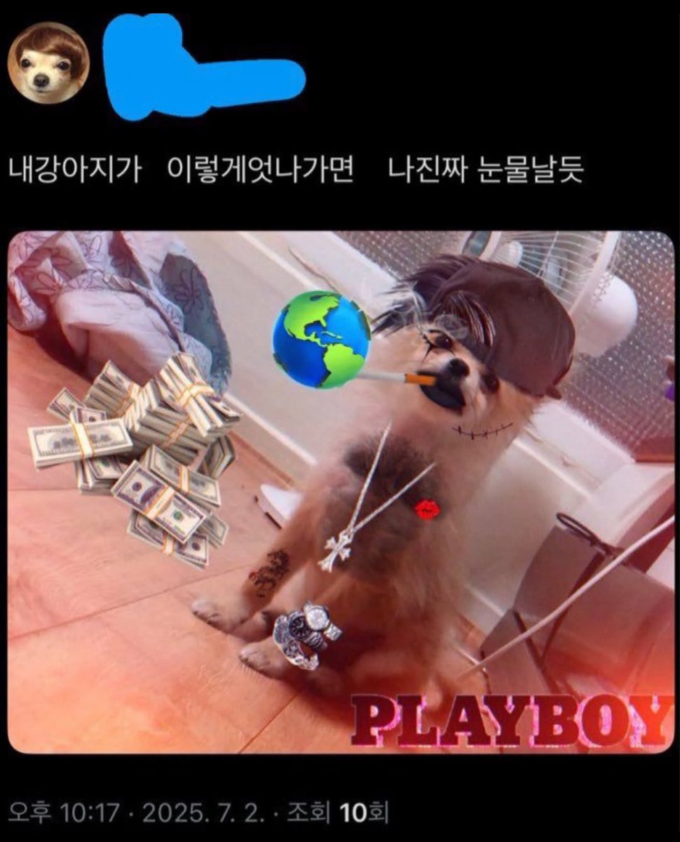 no1knm's tweet photo. 오블이가토 
히매루 눈에 강당위의 카나매가 이렇게 보임 https://t.co/888wK1gtFC