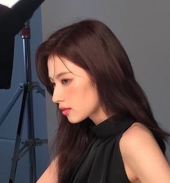 sanas nose archive tweet media