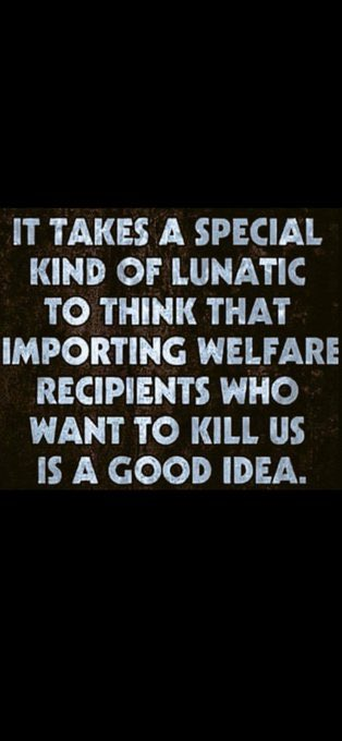 DOGEBLOGX's tweet photo. @jihadwatchRS https://t.co/nckRKGQ51g