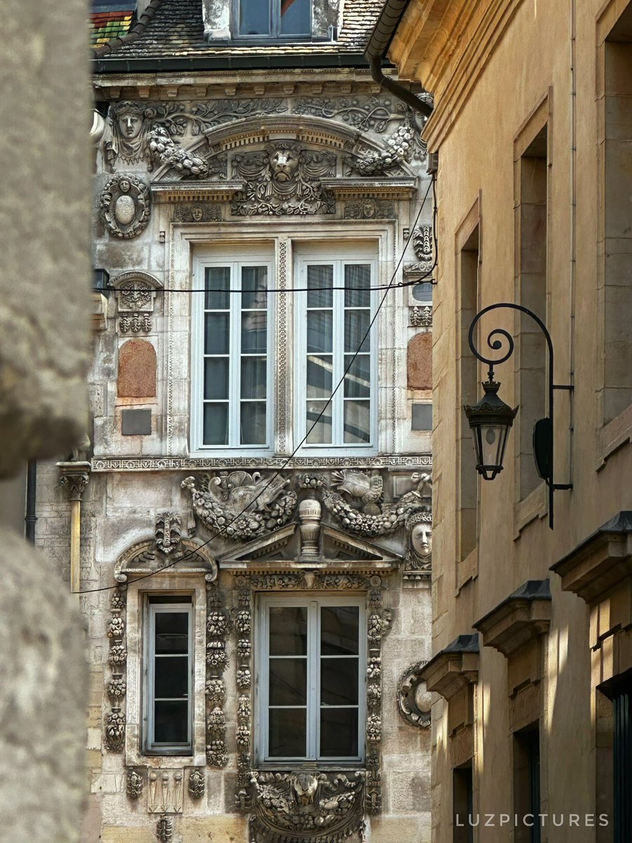 AlexLuzPics's tweet photo. A weekend stroll through Dijon, France https://t.co/WBomTEgcz9