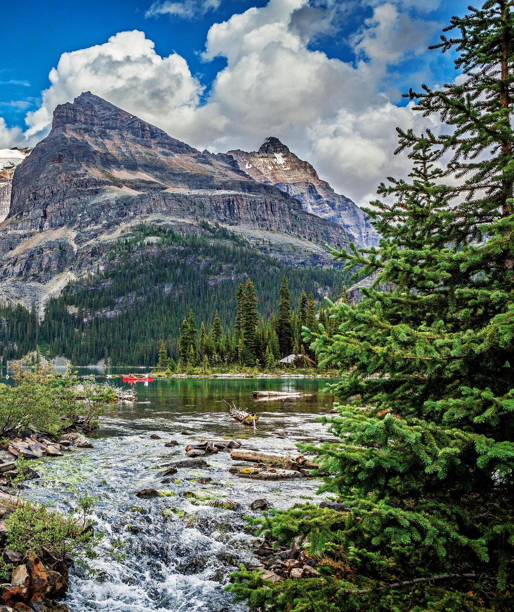LoveSongs4Peace's tweet photo. Emerald River flowing from Emerald Lake with a view of Mount Burgess of the Rockies in Yoho National Park, British Columbia, Canada  🇨🇦 https://t.co/Uu2TuL9Lpm