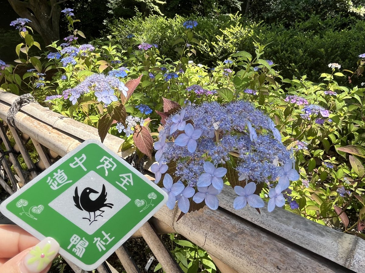 yamauchi_user's tweet photo. 御手洗の池と紫陽花 https://t.co/pqqAN2jgpA