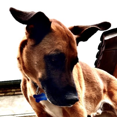 falktf's tweet photo. #NeuesProfilbild https://t.co/Doz2m61swi