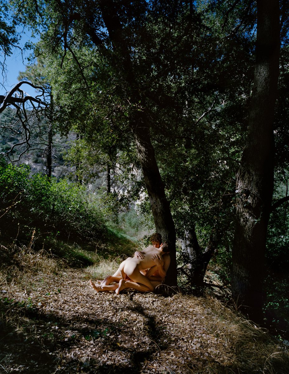 porno_ligero's tweet photo. A little pastoral, a little provocative, very “the forest signed an NDA.” Meet @dylan_m_photo, The Frame’s newest visionary: [https://t.co/jLLrRyfN1K] https://t.co/CFaqLtq6Xg