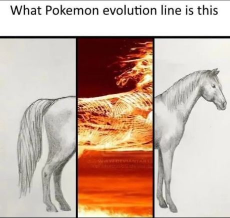 Pokémon Posts tweet media