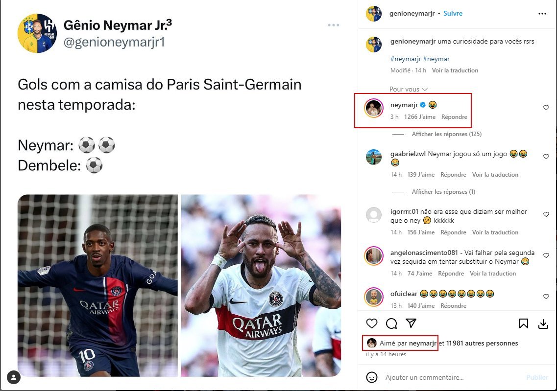 REAL MIL GRAU tweet media