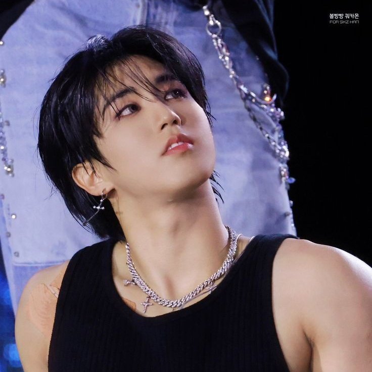 ★ mon ! 🍮 ࣪⭑ saw skz ³ tweet media