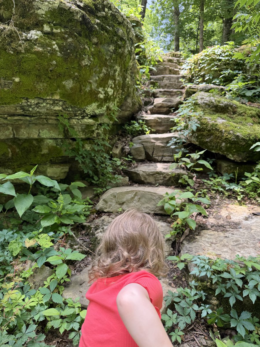 ForrestBH's tweet photo. A cave, a hike, some butterflies, discussions on tomatoes, and a lot of opinions about what to make? https://t.co/81Gb4C8fQq