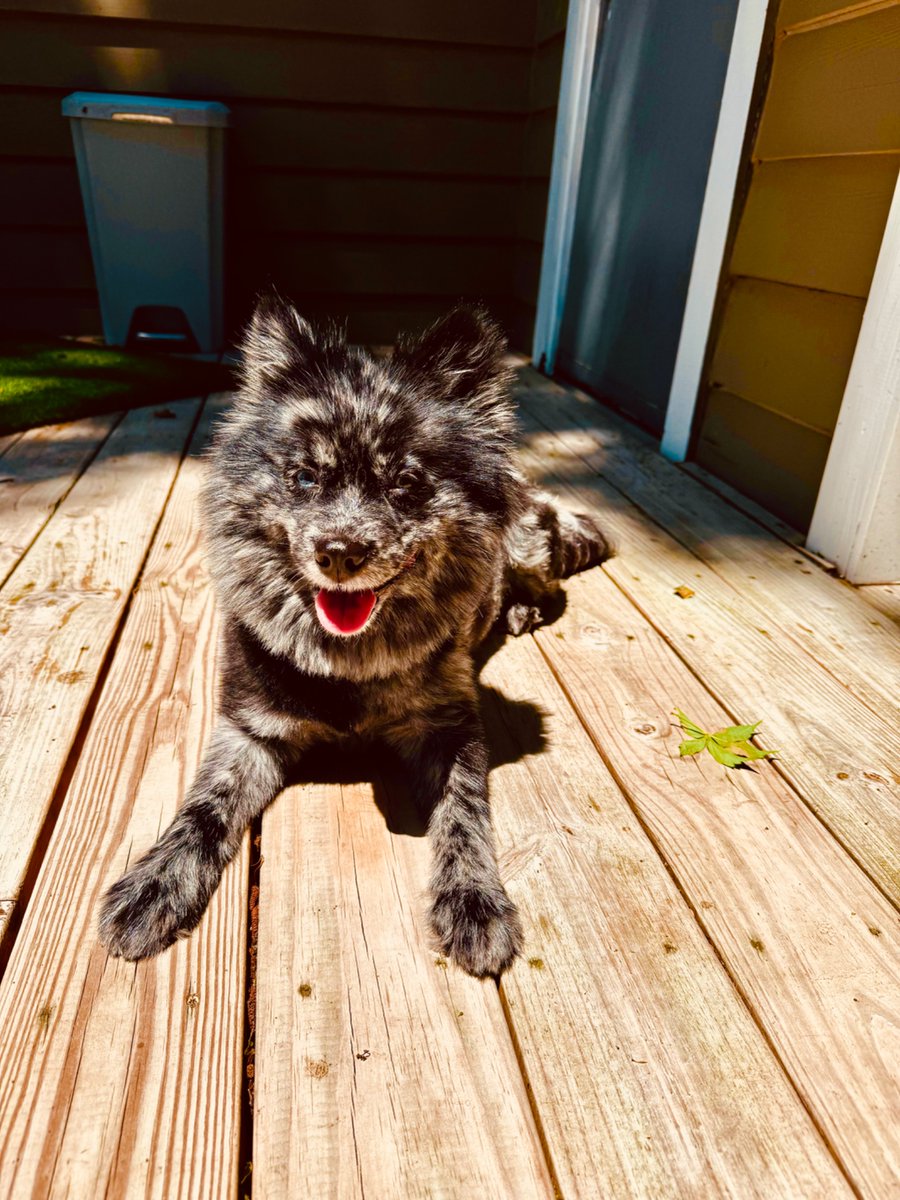 InboundsEye's tweet photo. Sunny Saturday https://t.co/neW4bBhbha