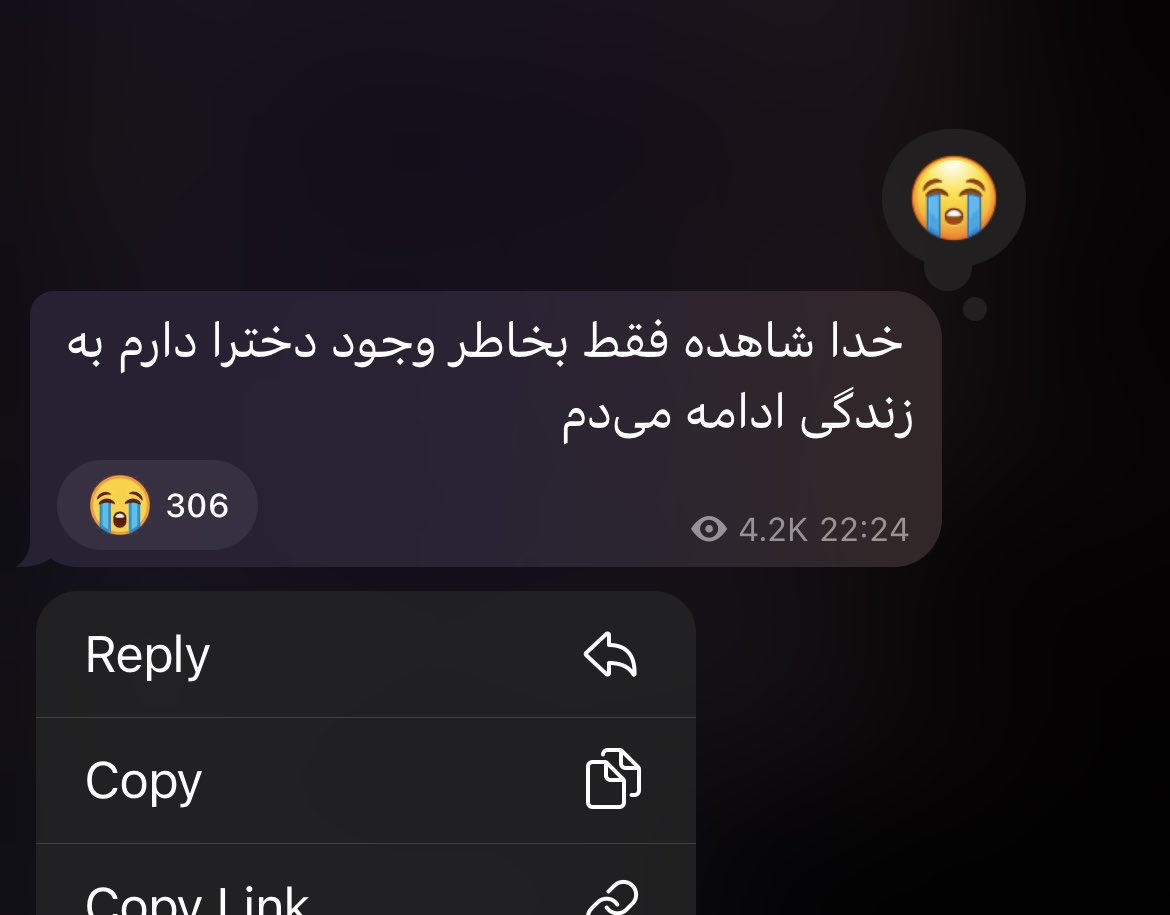لی لی بلوم🌞🫐 tweet media