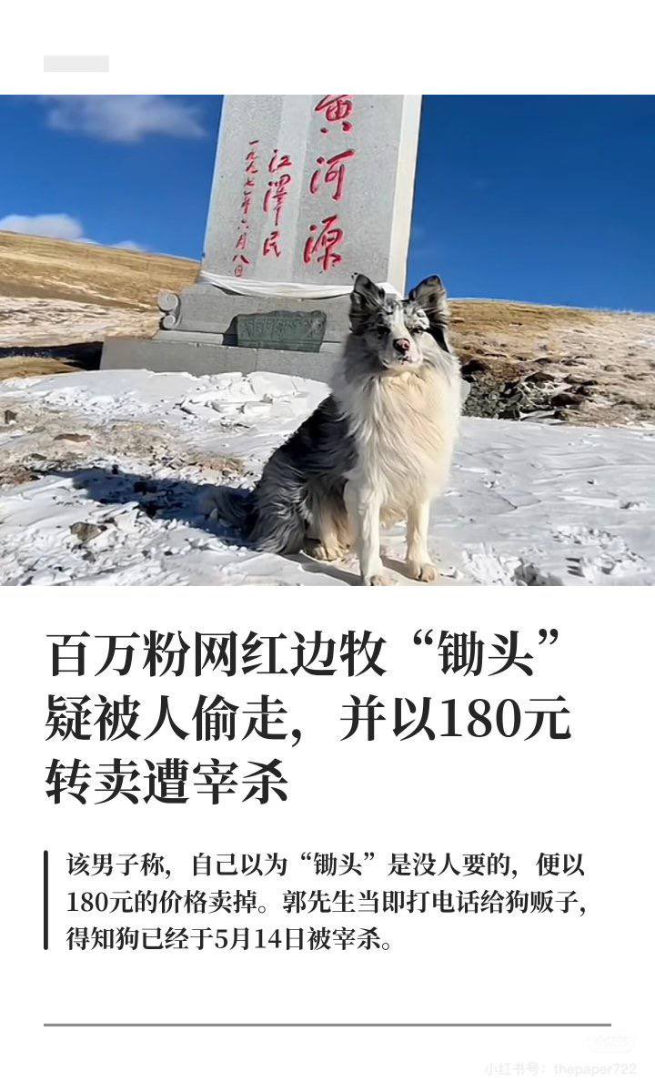 黑料网-唯一官方号 tweet media