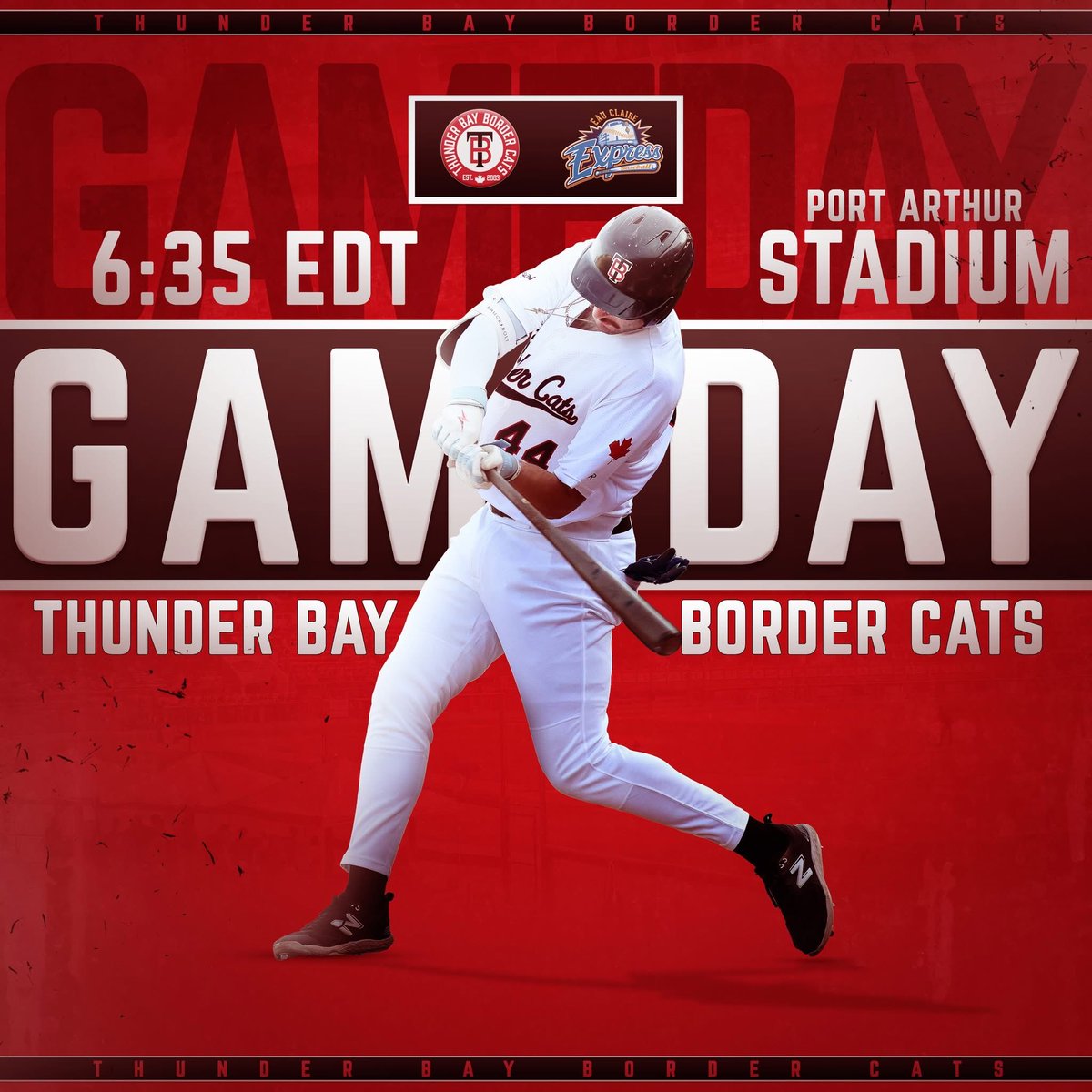 Thunder Bay Border Cats tweet media