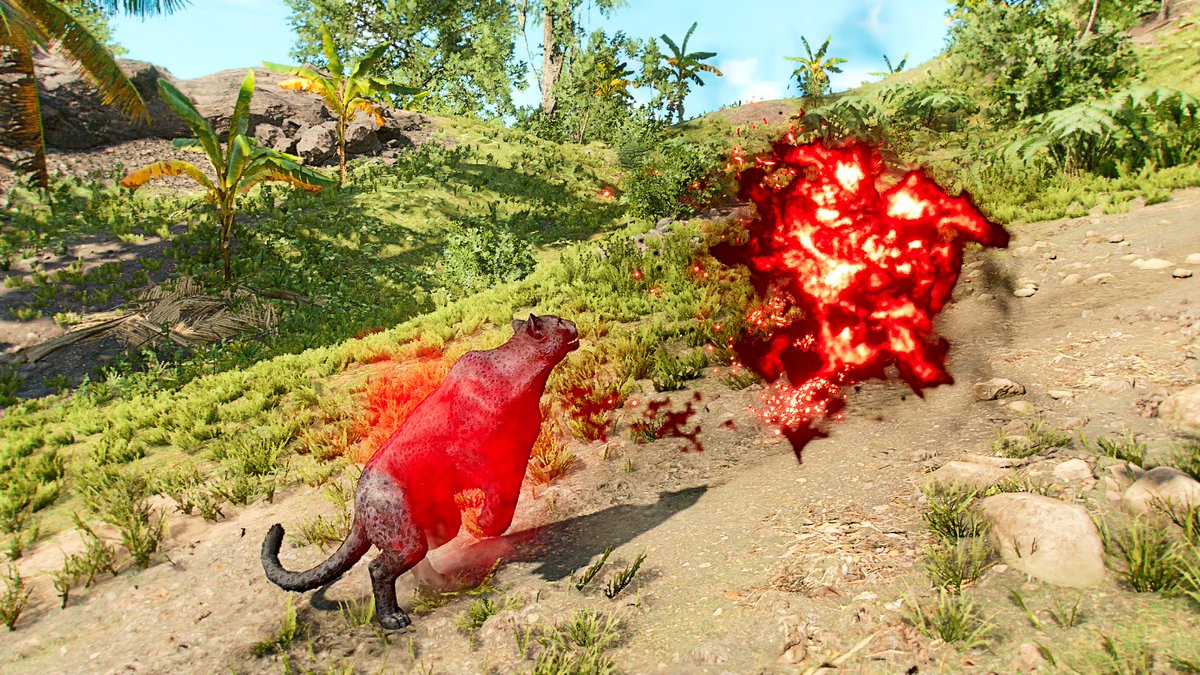 13brevkasse's tweet photo. #Gymnastics #Maneuver #FarCry6 #Amigo #Chicharrón @Nykyrias #Mongoose #VGPNetwork #UbisoftToronto @laira_leyva #Environment #ThePhotoMode #Wildlife #XboxShare #Characters @Lisa_West_Pix #Yara #FarCry #Jaguar #Black https://t.co/51piXTy6wP