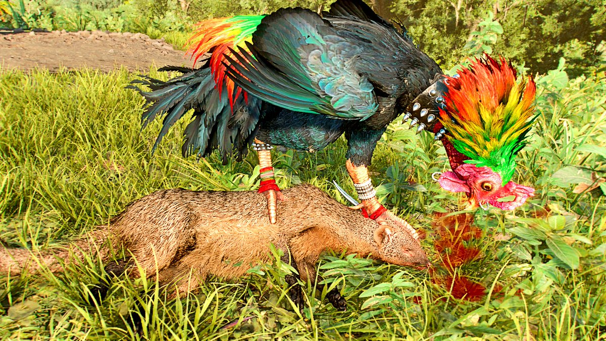13brevkasse's tweet photo. #Gymnastics #Maneuver #FarCry6 #Amigo #Chicharrón @Nykyrias #Mongoose #VGPNetwork #UbisoftToronto @laira_leyva #Environment #ThePhotoMode #Wildlife #XboxShare #Characters @Lisa_West_Pix #Yara #FarCry #Jaguar #Black https://t.co/51piXTy6wP