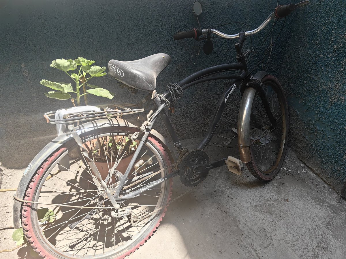 dwarvesteo's tweet photo. @TeRe_Cisneros Soy una persona adulta que le gusta andar en bicicleta, la ciclovia de Tlalpan presenta retrasos y fallas aunque oficialmente fue "terminada" encuentras desde baches, partes sin terminar y sumale que el paso elevado aumenta el peligro para nosotos #CDMXSinPlaneacion https://t.co/YmdIcjAg4H