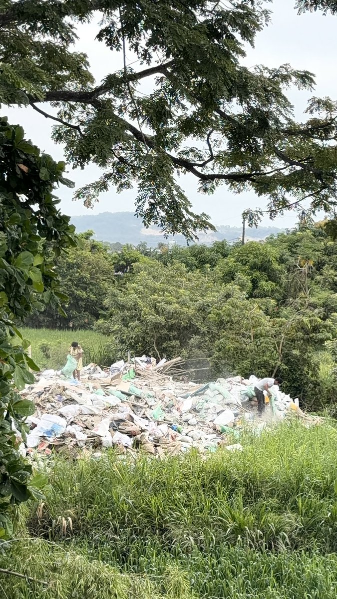 Edgar Uribe tweet media