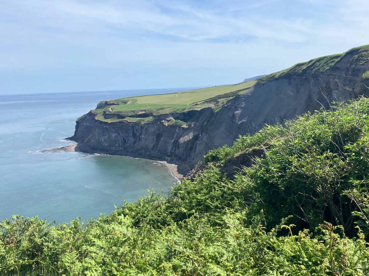 AWalkersTale's tweet photo. The very lovely Yorkshire coast between Ravenscar and Whitby ☀️ https://t.co/mroQsHo8TA