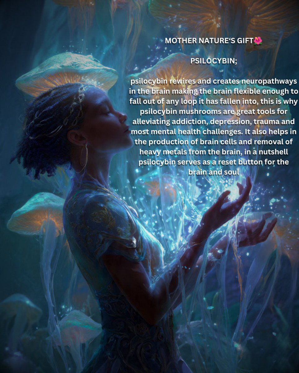 Alchemgates's tweet photo. PSILOCYBIN 🍄 MAGIC-MUSHROOMS 

let’s explain in a layman’s language 🔰🔰

. Psychedelics https://t.co/BVhGSY3kGG