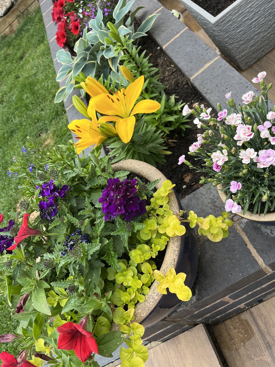 WithAC86's tweet photo. Blooming pretty 🩷💐🌺 https://t.co/UNPRY3Q43O